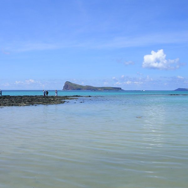 92 DSCN0193