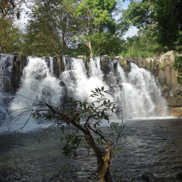 DSC01045