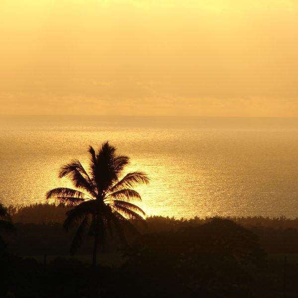 DSC05855