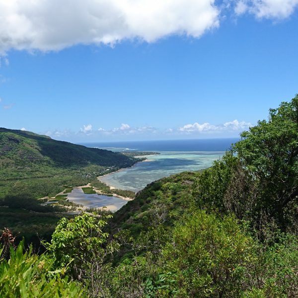 Morne sud DSC_0323